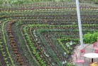 Dianellapermaculture-5.jpg; ?>